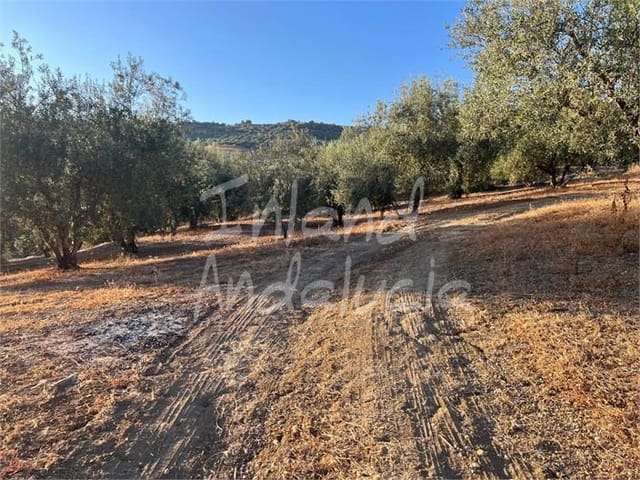 Building Plot for sale in Periana - € 125,000 (Ref: 9172687)