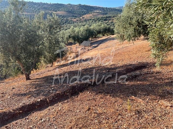 Byggetomt til salgs i Periana - € 125 000 (Ref: 9172687)