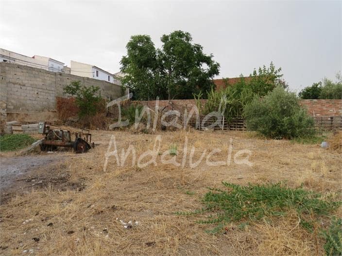 2 Zimmer Haus zu verkaufen in Alcaudete - 30.000 € (Ref: 9202093)