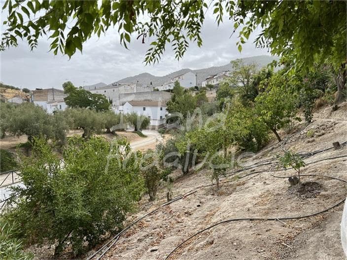 4 slaapkamer Finca/Landhuis te koop in Sabariego met zwembad - € 240.000 (Ref: 9216940)