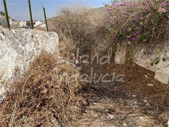 4 slaapkamer Huis te koop in Luque - € 37.000 (Ref: 9340439)