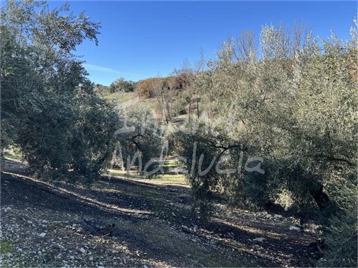 5 Zimmer Finca/Landgut zu verkaufen in Priego de Cordoba mit Garage - 425.000 € (Ref: 9508096)