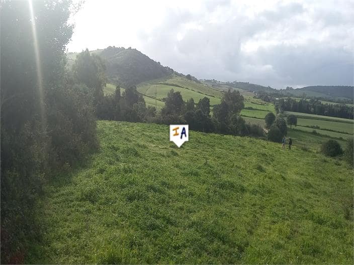 Building Plot for sale in Barbate - € 75,000 (Ref: 9719357)