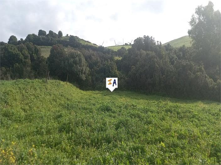 Building Plot for sale in Barbate - € 75,000 (Ref: 9719357)