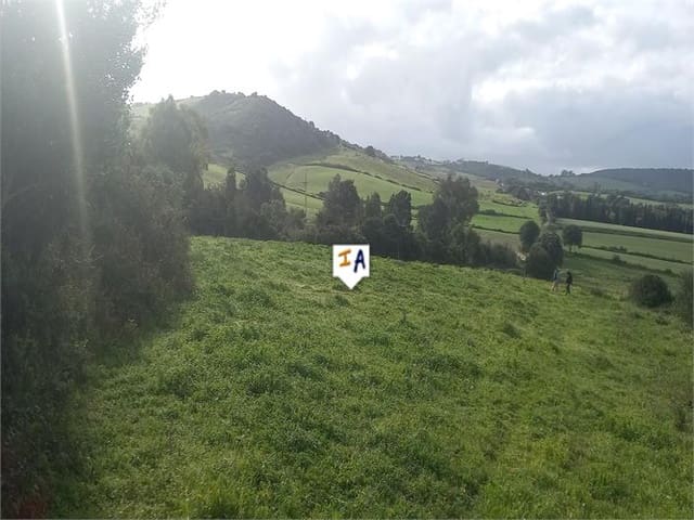 Building Plot for sale in Barbate - € 75,000 (Ref: 9719357)