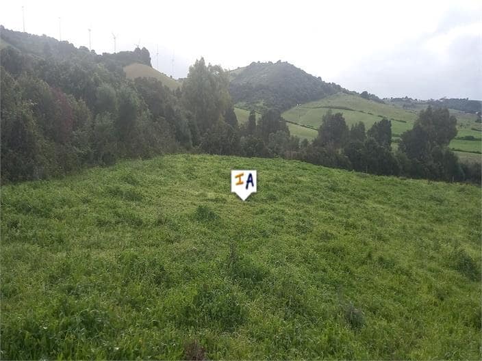 Building Plot for sale in Barbate - € 75,000 (Ref: 9719357)