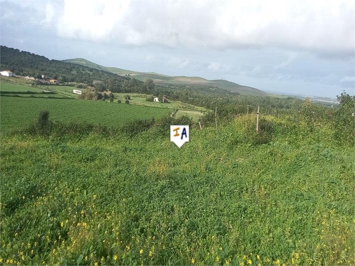 Building Plot for sale in Barbate - € 75,000 (Ref: 9719357)