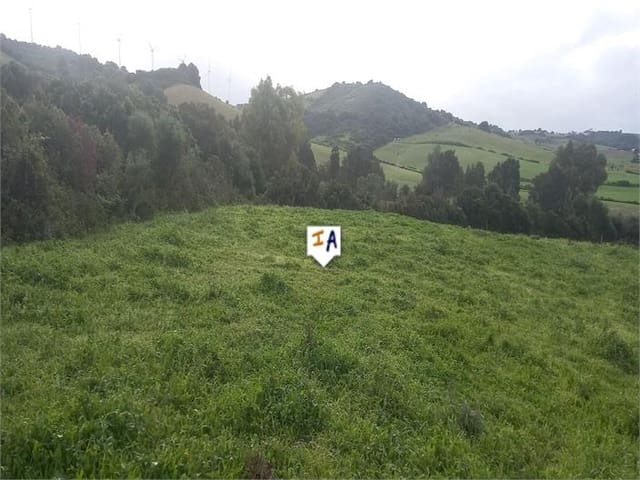 Building Plot for sale in Barbate - € 75,000 (Ref: 9719357)