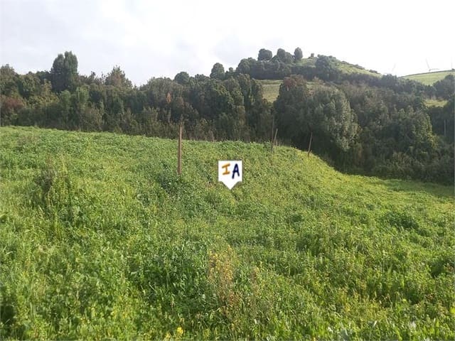 Building Plot for sale in Barbate - € 75,000 (Ref: 9719357)