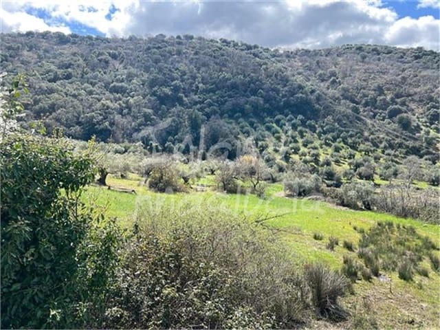 8 bedroom Finca/Country House for sale in Valdepeñas de Jaén with garage - € 425,000 (Ref: 9720993)