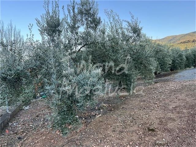 Finca/Casa di Campagna in vendita in Sabariego, Alcaudete - 95.000 € (Rif: 9726239)