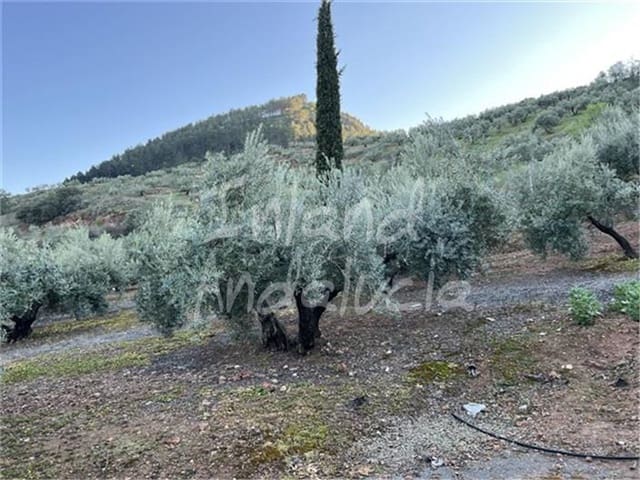 Finca/Casa di Campagna in vendita in Sabariego, Alcaudete - 95.000 € (Rif: 9726239)