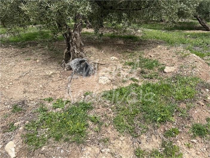 3 bedroom Finca/Country House for sale in Charilla with garage - € 100,000 (Ref: 9777338)