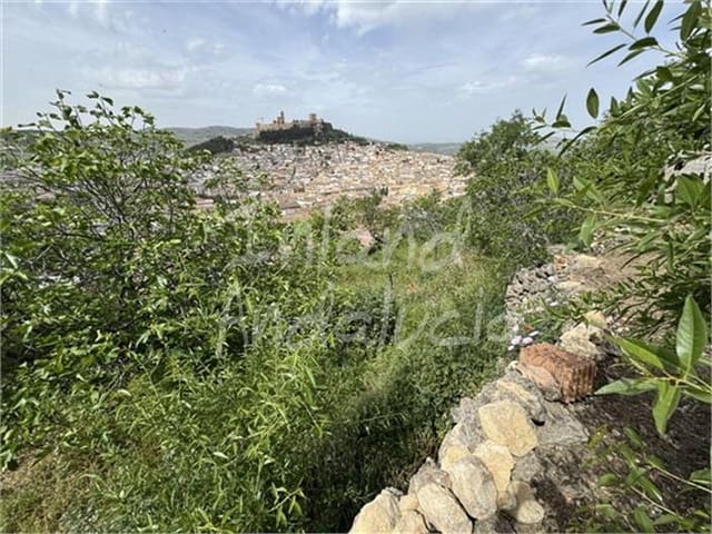 Dom na sprzedaż w Alcalá la Real - 30 000 € (Ref: 9803855)