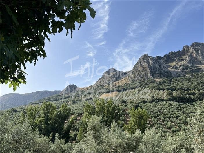 3 bedroom Finca/Country House for sale in Priego de Cordoba - € 29,000 (Ref: 9921580)