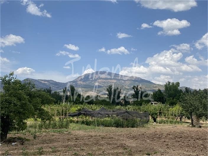 Building Plot for sale in Alcaudete - € 19,500 (Ref: 9921581)