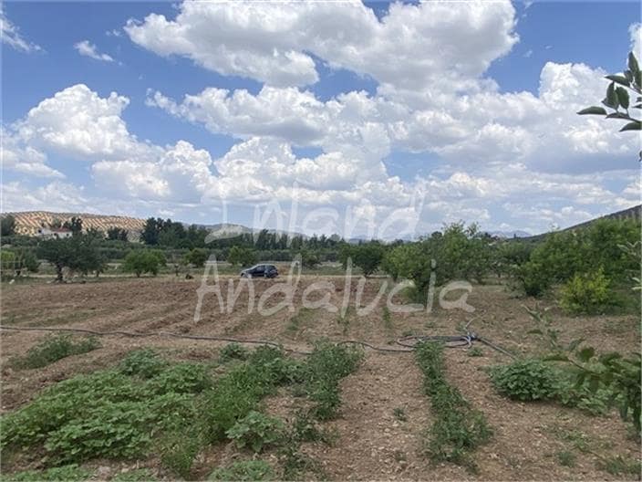 Building Plot for sale in Alcaudete - € 19,500 (Ref: 9921581)