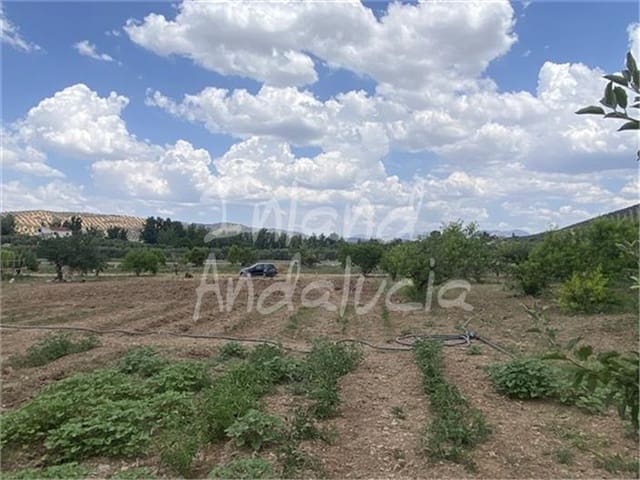 Building Plot for sale in Alcaudete - € 19,500 (Ref: 9921581)