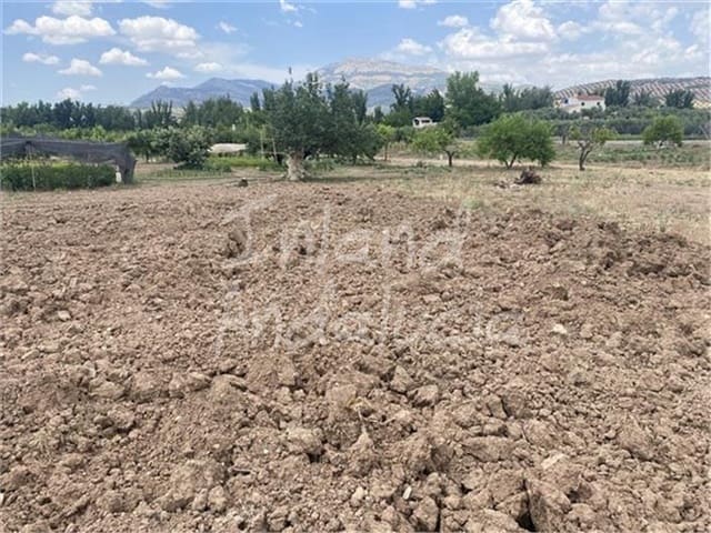 Building Plot for sale in Alcaudete - € 19,500 (Ref: 9921581)