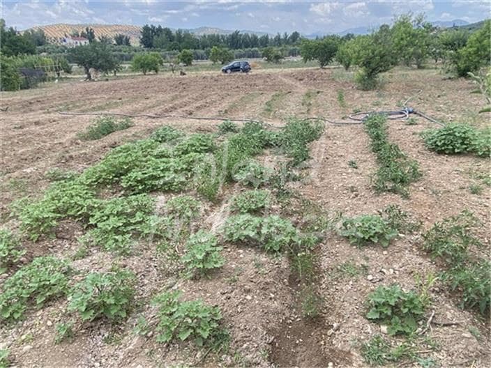 Building Plot for sale in Alcaudete - € 19,500 (Ref: 9921581)