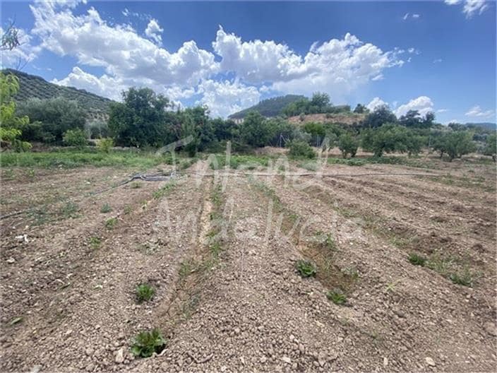 Building Plot for sale in Alcaudete - € 19,500 (Ref: 9921581)