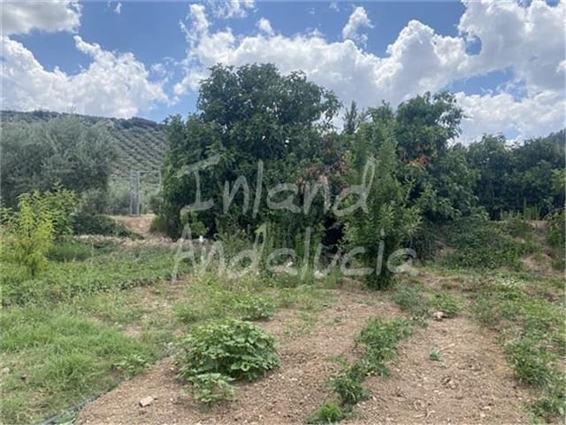 Building Plot for sale in Alcaudete - € 19,500 (Ref: 9921581)