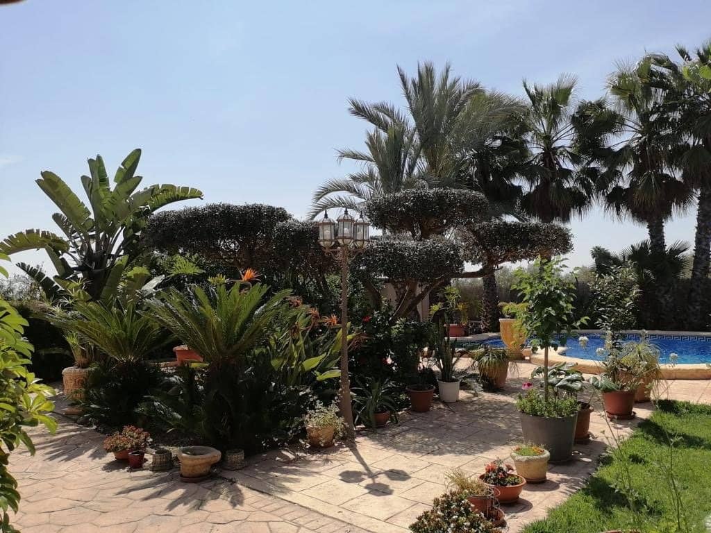 7 sypialnia Willa na sprzedaż w Elche / Elx z basenem - 560 000 € (Ref: 9021841)