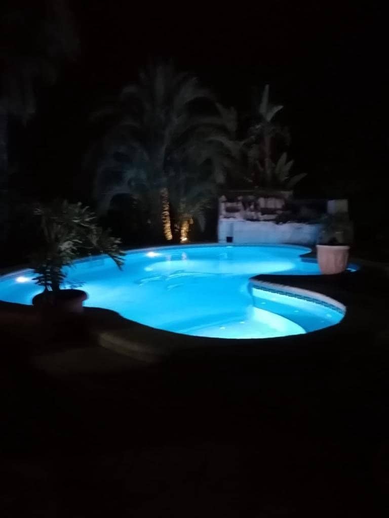 7 sypialnia Willa na sprzedaż w Elche / Elx z basenem - 560 000 € (Ref: 9021841)