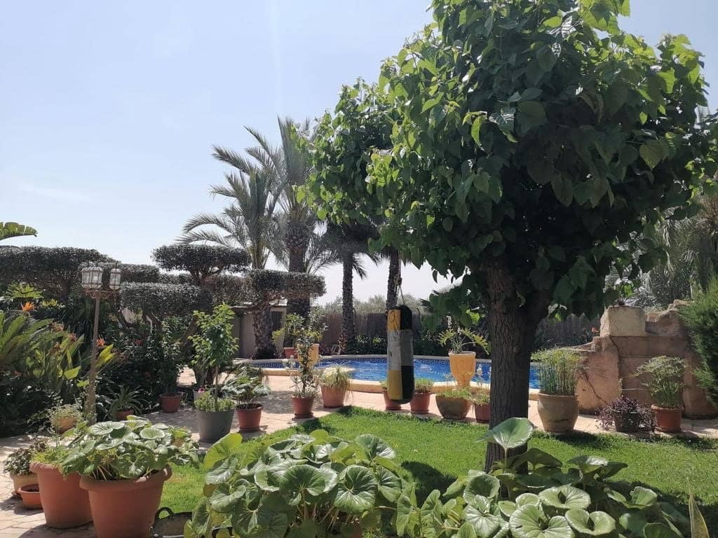 7 sypialnia Willa na sprzedaż w Elche / Elx z basenem - 560 000 € (Ref: 9021841)