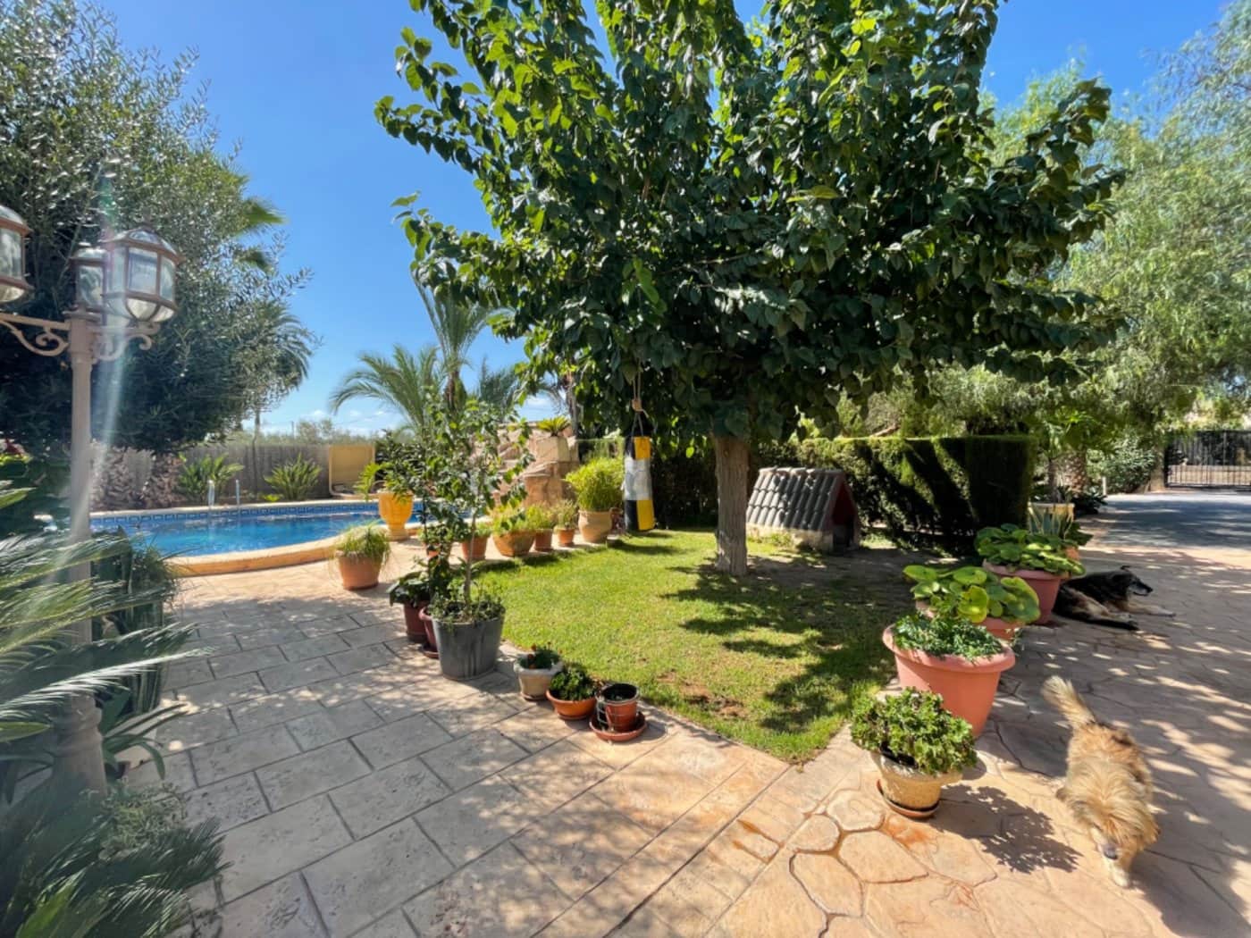 7 sypialnia Willa na sprzedaż w Elche / Elx z basenem - 560 000 € (Ref: 9021841)