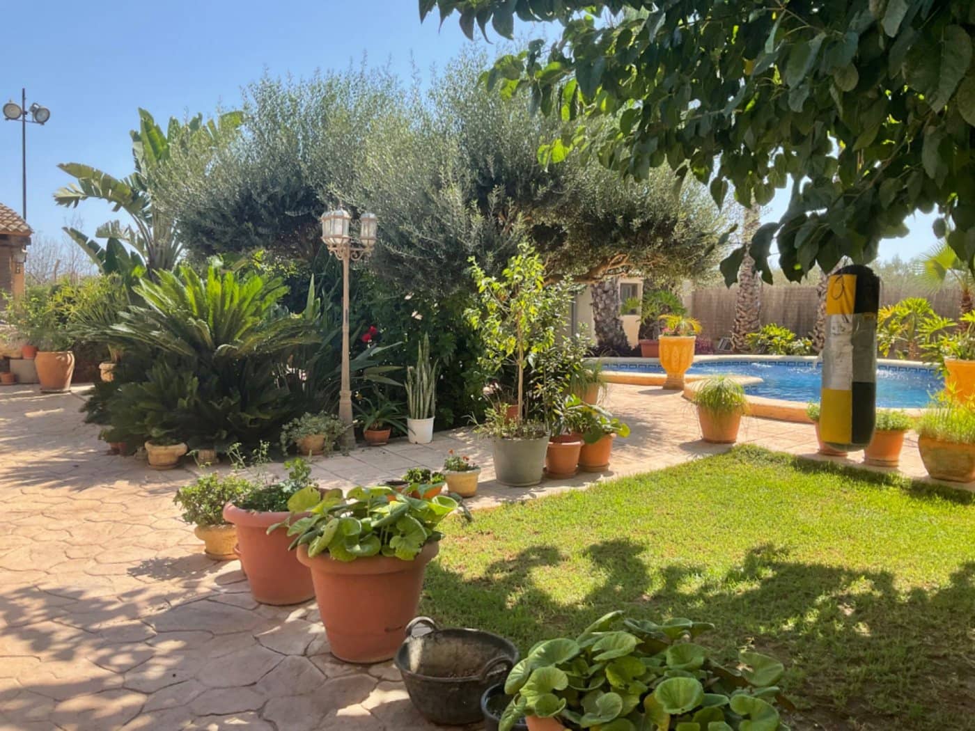 7 sypialnia Willa na sprzedaż w Elche / Elx z basenem - 560 000 € (Ref: 9021841)