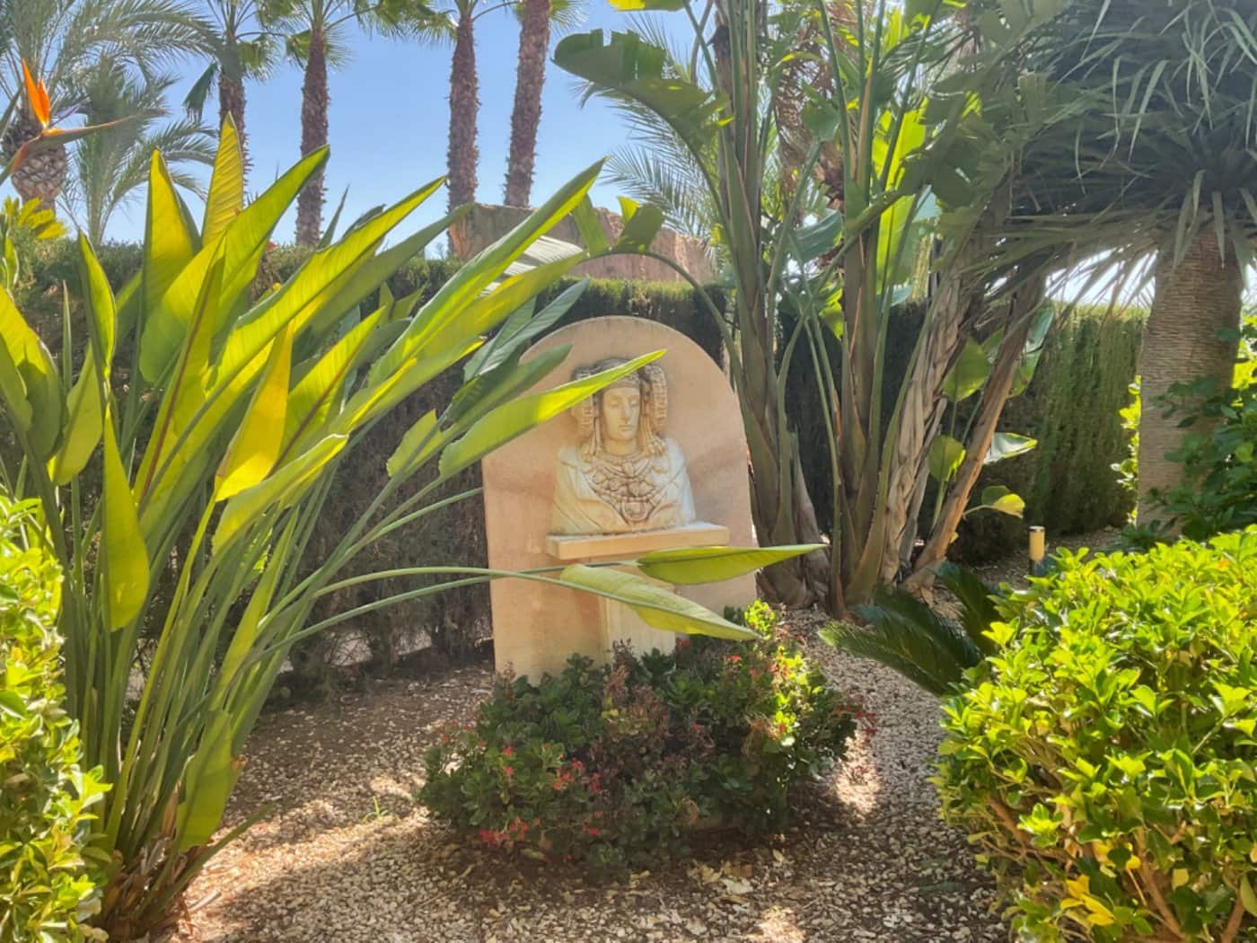 7 sypialnia Willa na sprzedaż w Elche / Elx z basenem - 560 000 € (Ref: 9021841)