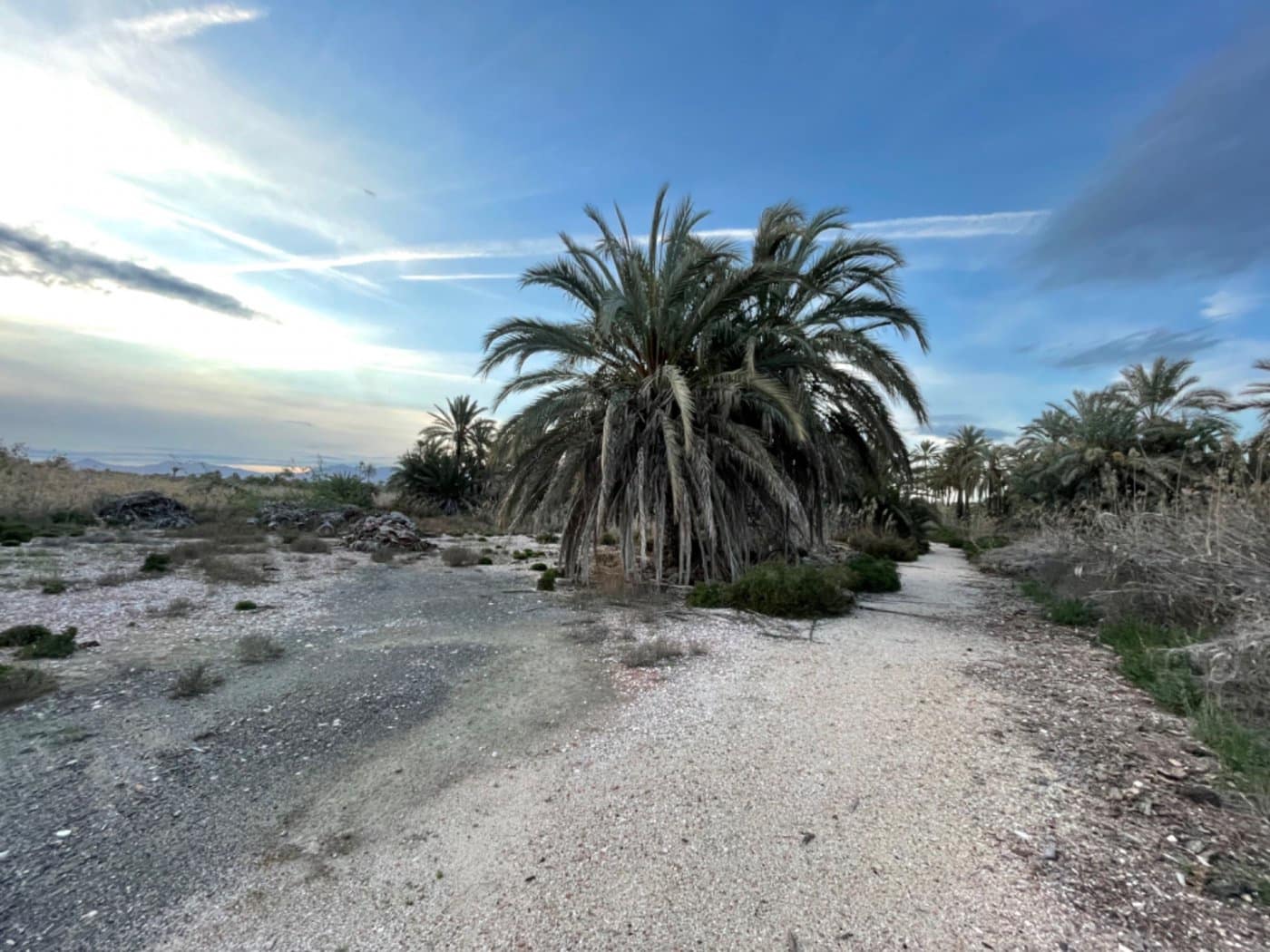 Building Plot for sale in Algoda - € 39,999 (Ref: 9021852)