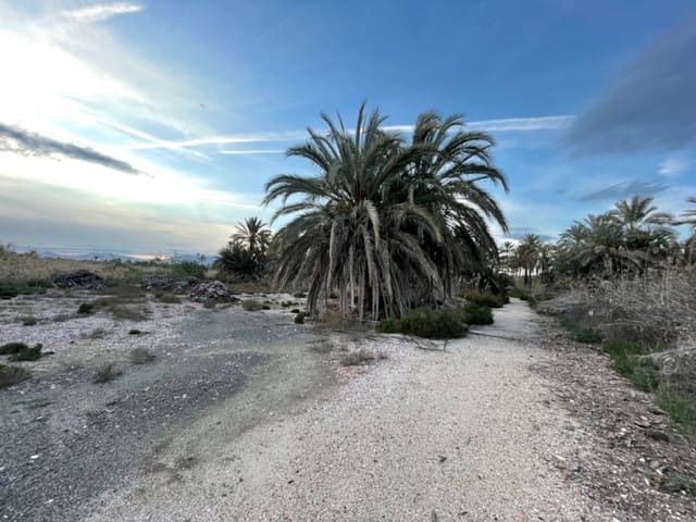 Byggegrund til salg i Algoda, Elche / Elx - € 39.999 (Ref: 9021852)