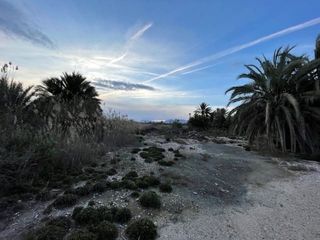 Byggegrund til salg i Algoda, Elche / Elx - € 39.999 (Ref: 9021852)