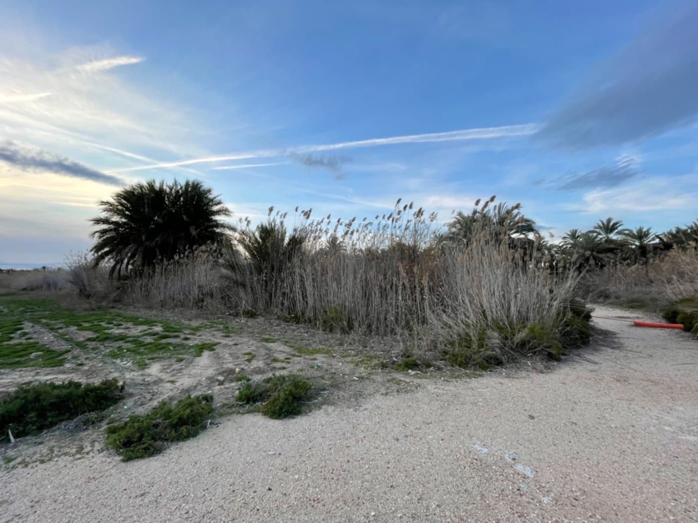 Building Plot for sale in Algoda - € 39,999 (Ref: 9021852)