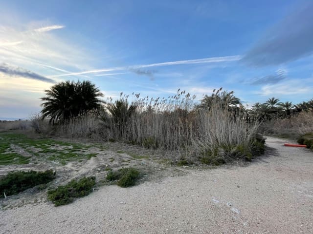 Byggegrund til salg i Algoda, Elche / Elx - € 39.999 (Ref: 9021852)