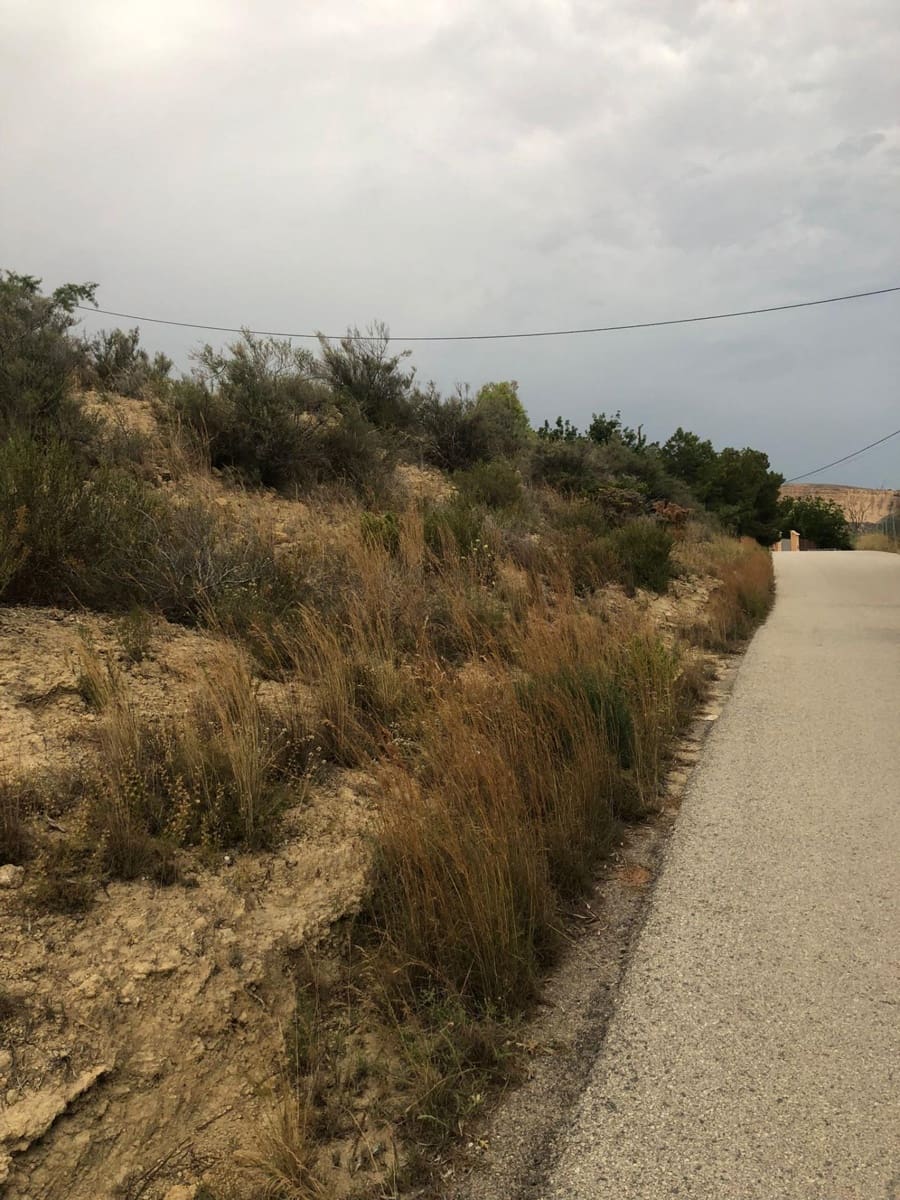 Grunde uden byggetilladelser til salg i Crevillente / Crevillent - € 28.000 (Ref: 9116743)