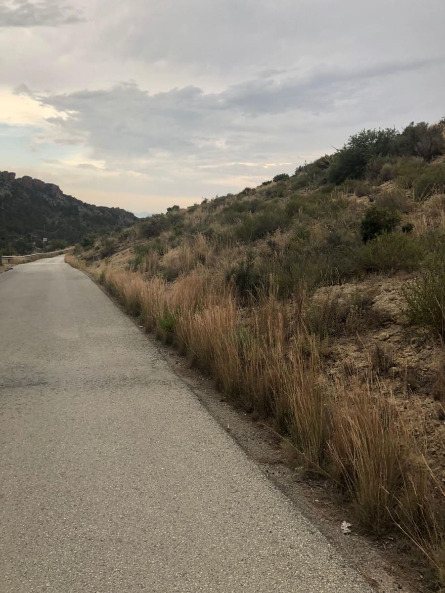 Grunde uden byggetilladelser til salg i Crevillente / Crevillent - € 28.000 (Ref: 9116743)