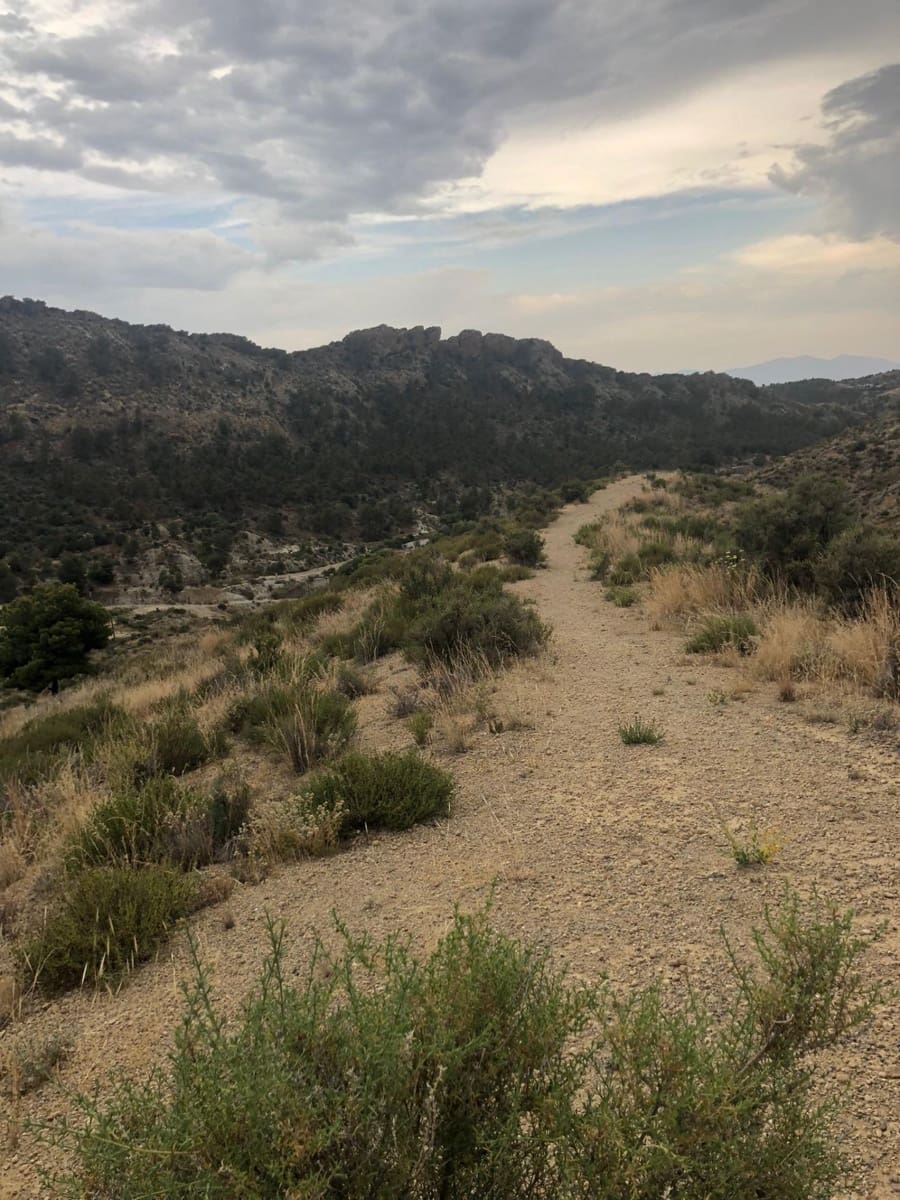 Grunde uden byggetilladelser til salg i Crevillente / Crevillent - € 28.000 (Ref: 9116743)