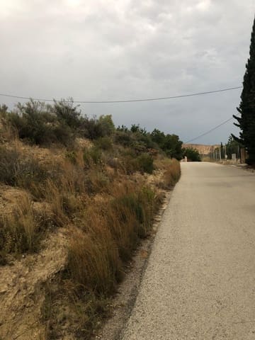 Grond te koop in Crevillente / Crevillent - € 28.000 (Ref: 9116743)