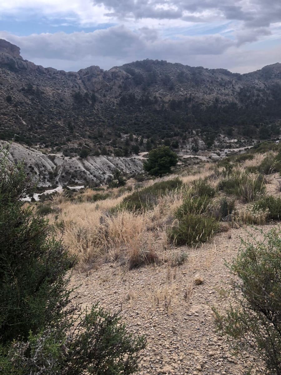 Grunde uden byggetilladelser til salg i Crevillente / Crevillent - € 28.000 (Ref: 9116743)