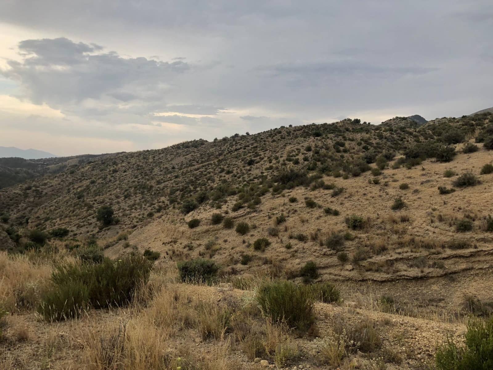 Grunde uden byggetilladelser til salg i Crevillente / Crevillent - € 28.000 (Ref: 9116743)