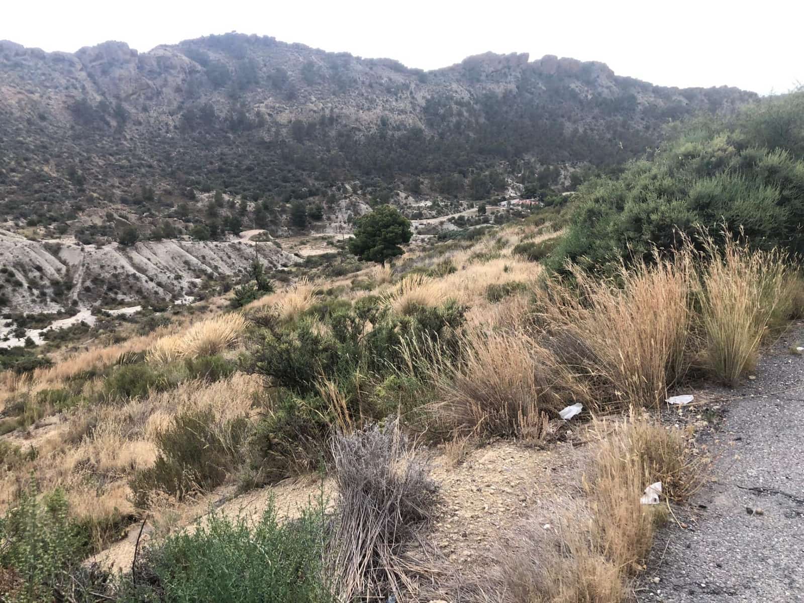 Grunde uden byggetilladelser til salg i Crevillente / Crevillent - € 28.000 (Ref: 9116743)