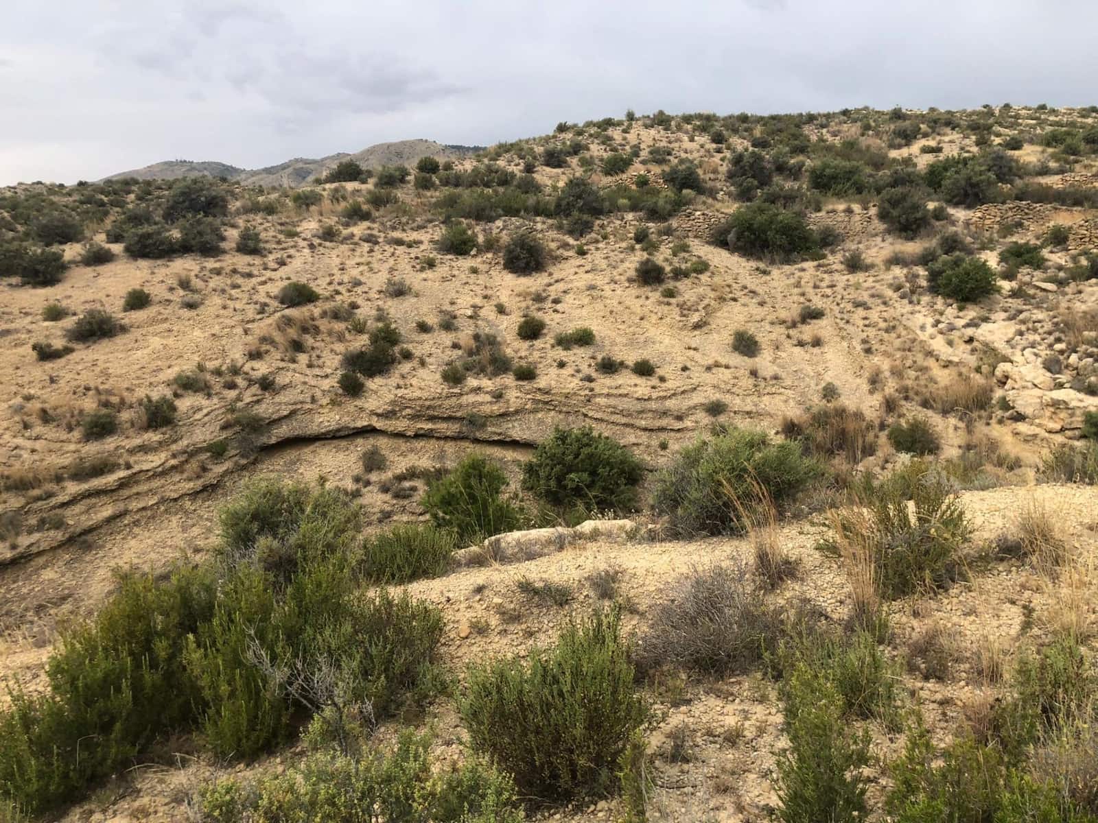 Grunde uden byggetilladelser til salg i Crevillente / Crevillent - € 28.000 (Ref: 9116743)