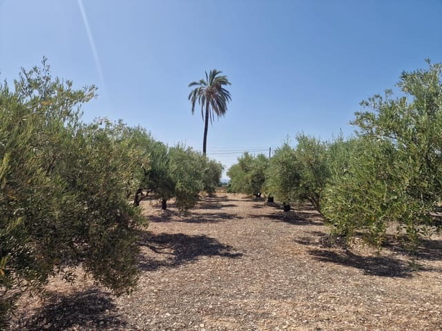 Building Plot for sale in Crevillente / Crevillent - € 39,999 (Ref: 9169661)