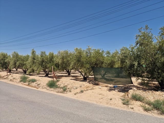 Grond te koop in Crevillente / Crevillent - € 39.999 (Ref: 9169661)