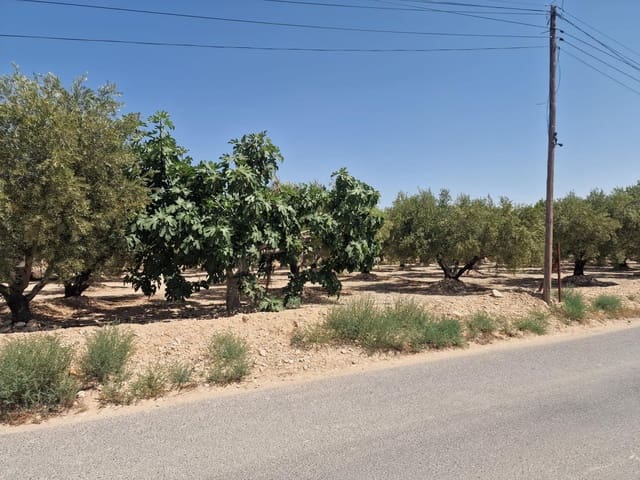 Building Plot for sale in Crevillente / Crevillent - € 39,999 (Ref: 9169661)