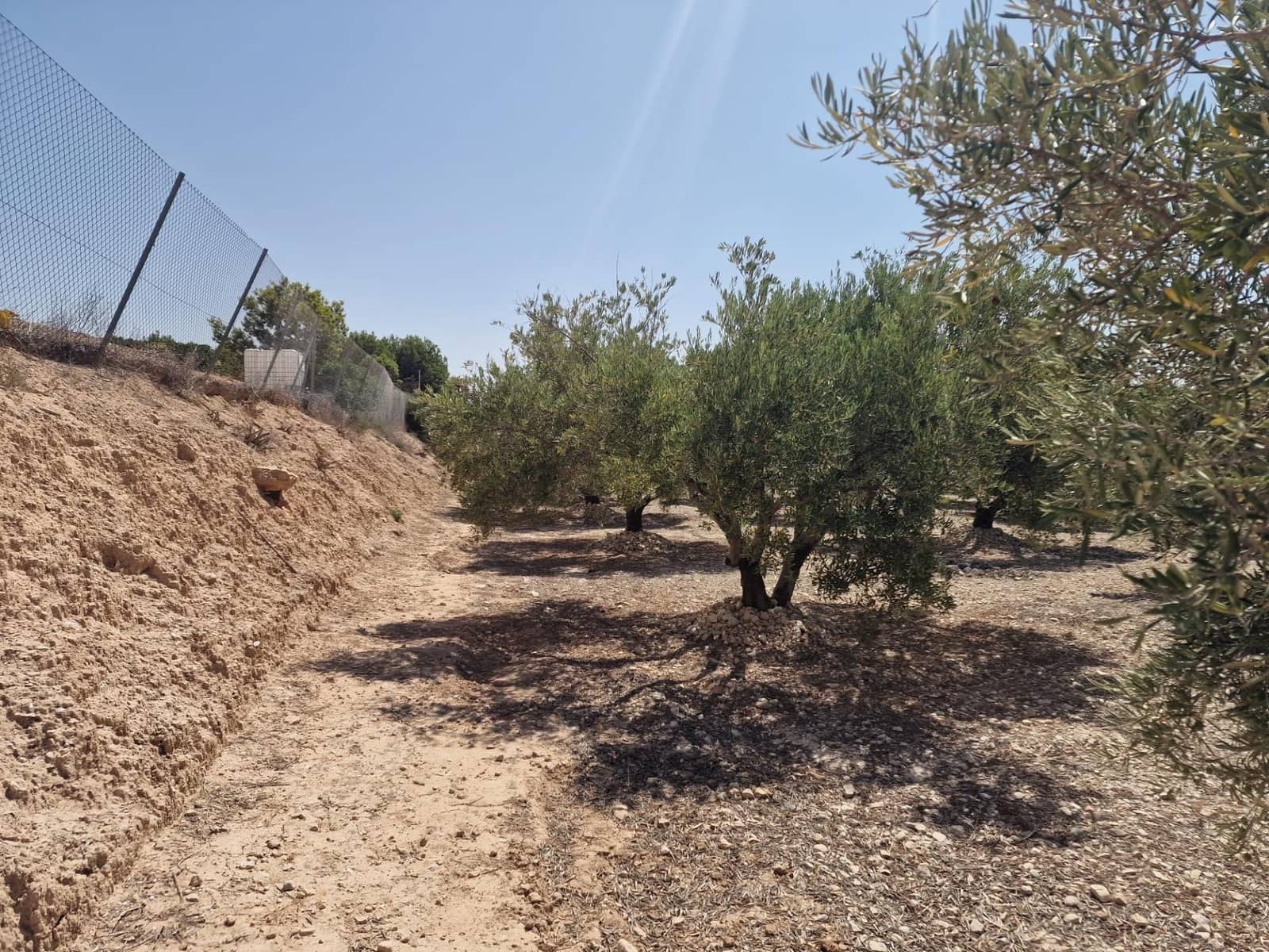 Grunde uden byggetilladelser til salg i Crevillente / Crevillent - € 39.999 (Ref: 9169661)