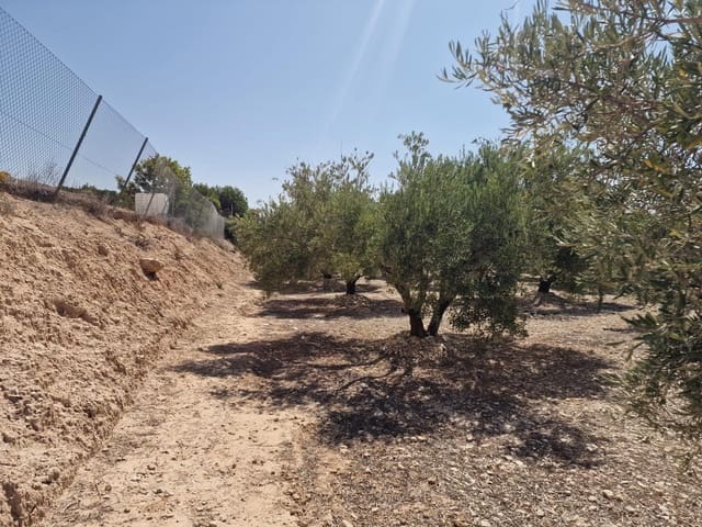 Grond te koop in Crevillente / Crevillent - € 39.999 (Ref: 9169661)